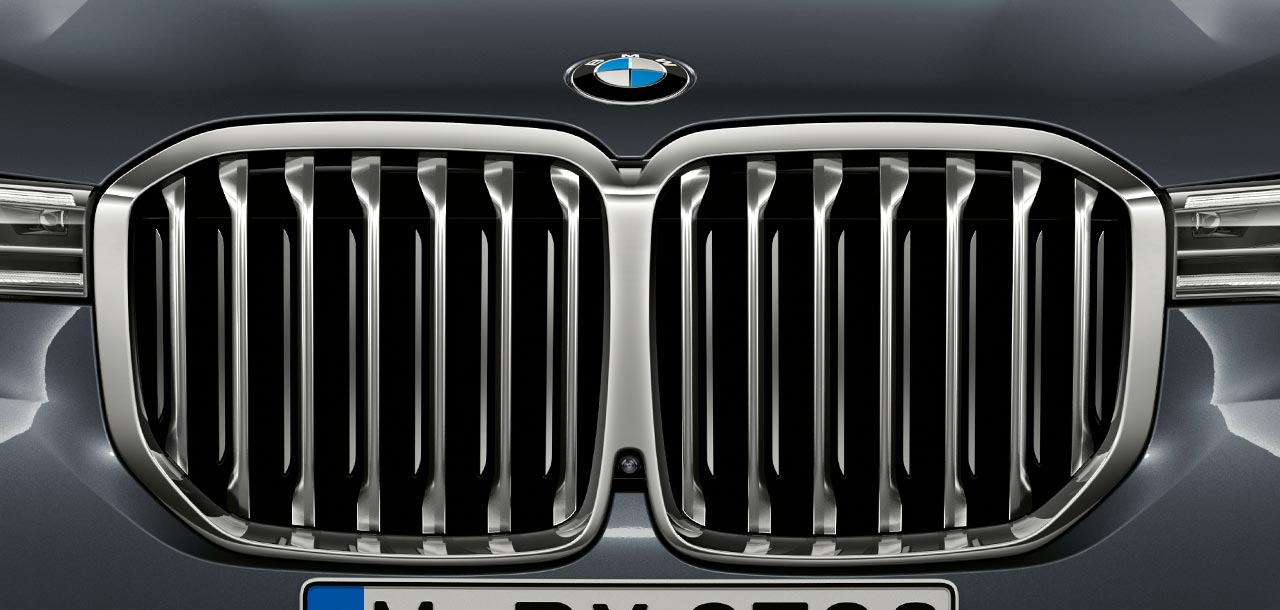 BMW Kidney Grille